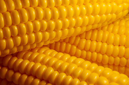 Corn and ethanol futures hedge ratios